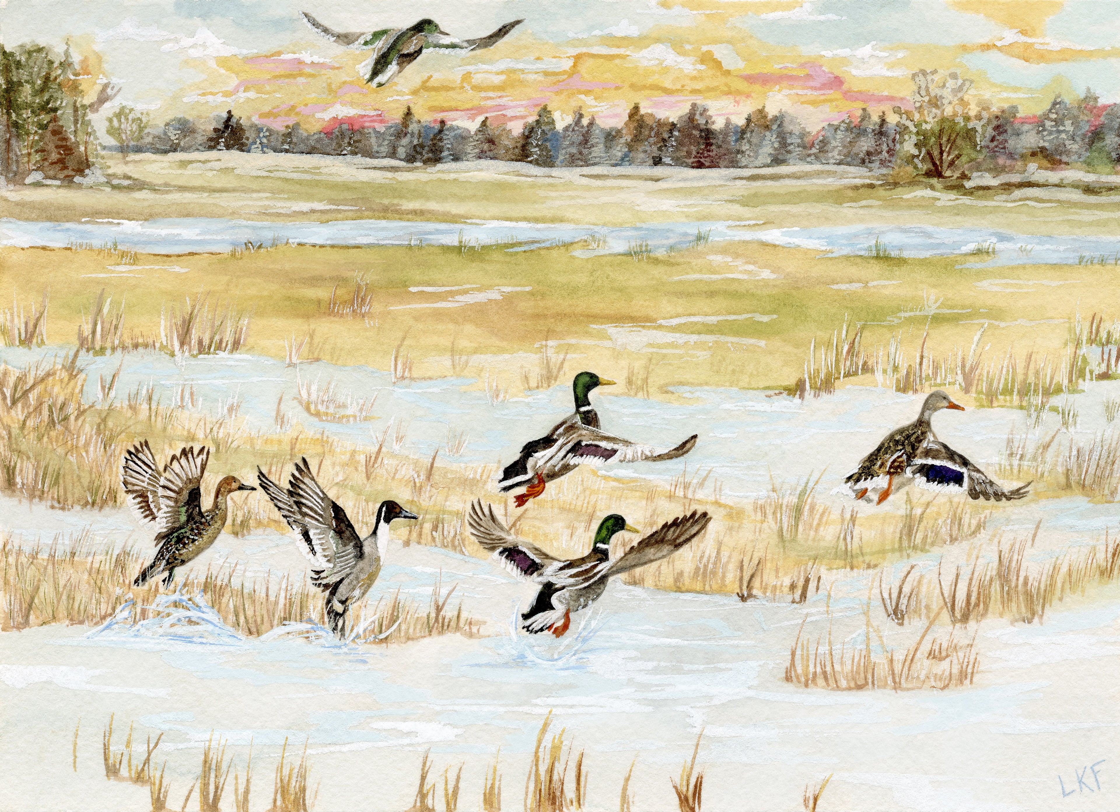 "Delta Dawn" Print